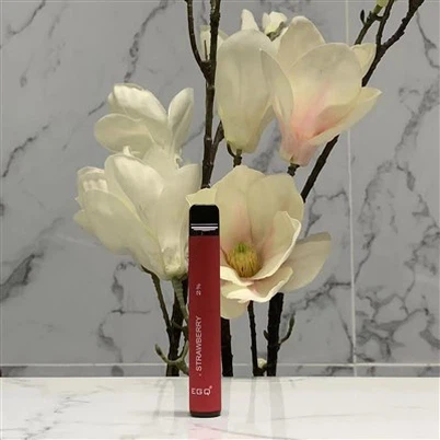 Hot 600 Puffs Disposable E Cig Vape Pen